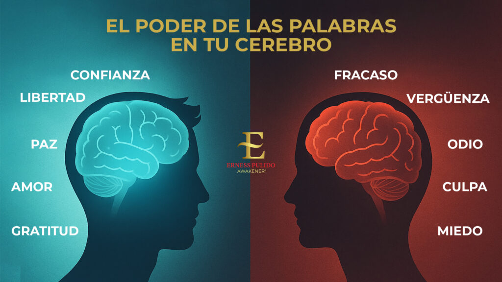 La neurociencia detrás del poder de las palabras